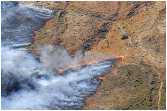 West Maui Fire 2006